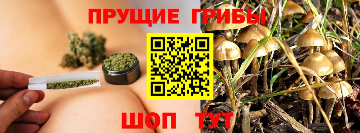Псилоцибиновые грибы ЛСД Красноуфимск