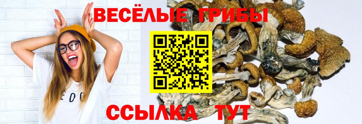 Галлюциногенные грибы Psilocybine cubensis  Вход с VPN  Красноуфимск  Псилоцибиновые грибы мухоморы 